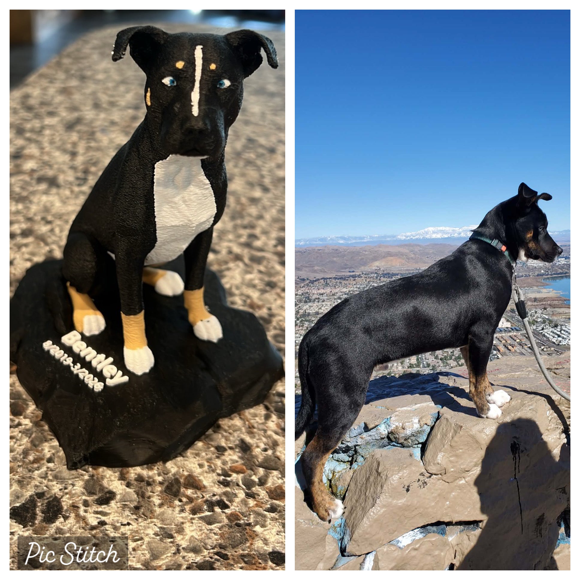 Custom Replica Pet Prints